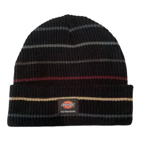 Dickies Skateboarding Beanie Striped Black/Multi